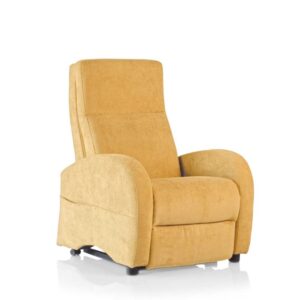 Poltrona per disabili Leo